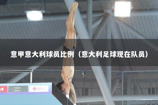 意甲意大利球员比例（意大利足球现在队员）